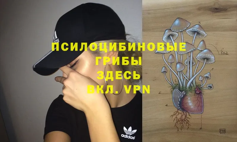 где продают   Тюмень  Галлюциногенные грибы MAGIC MUSHROOMS 